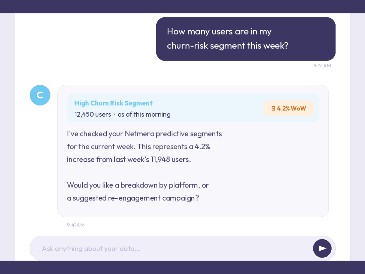 A chat interface demonstrating a Netmera MCP server integration. An AI assistant responds to a user's data query, displaying a card with 12,450 users in the High Churn Risk Segment and a 4.2% week-over-week increase.