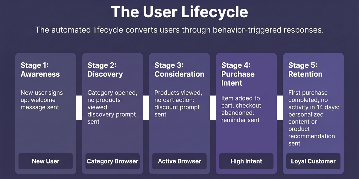 Diagram titled 'The User Lifecycle' showing five automated stages: Stage 1 Awareness (New User), Stage 2 Discovery (Category Browser), Stage 3 Consideration (Active Browser), Stage 4 Purchase Intent (High Intent), and Stage 5 Retention (Loyal Customer). 